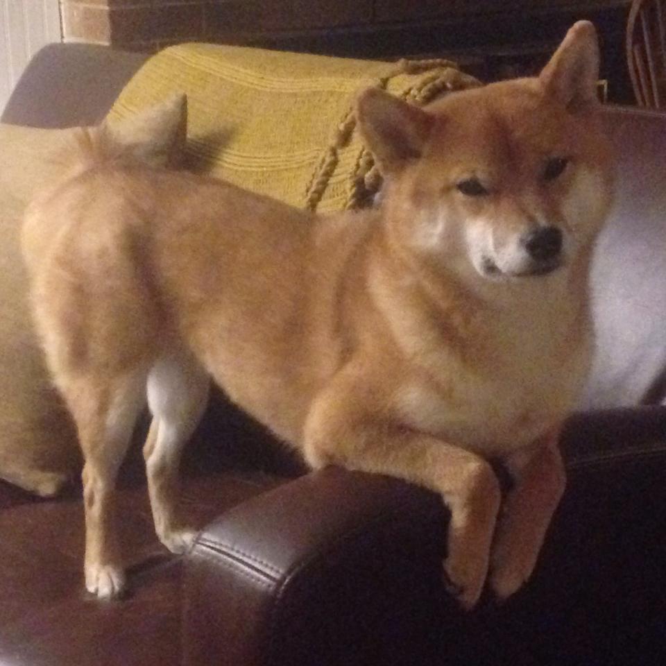 开云体育APP下载-新媒体运营让中国足球影响力不断扩大，国内新媒体运营现状